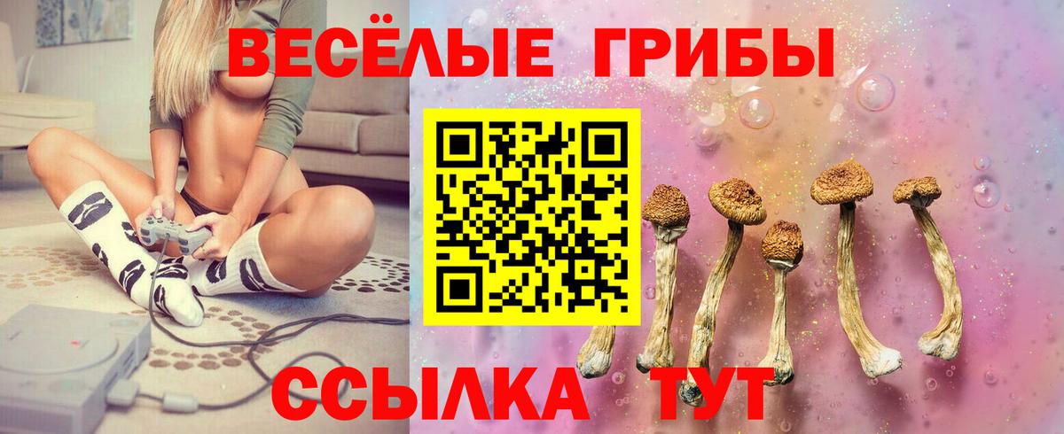Галлюциногенные грибы MAGIC MUSHROOMS  Вход с VPN  Свободный  Псилоцибиновые грибы мухоморы 
