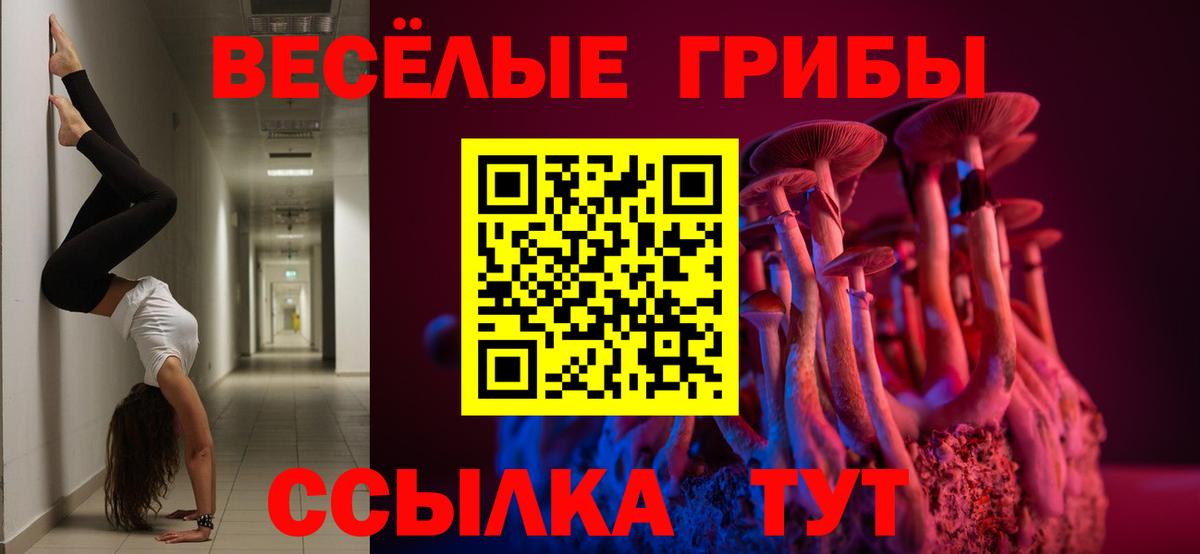 Псилоцибиновые грибы мухоморы Свободный